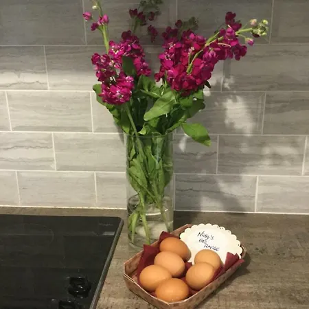 Rose Alley Appartement *