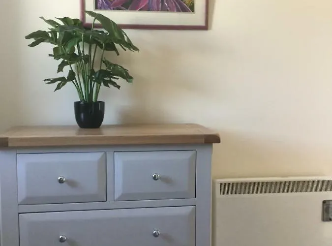 公寓 Rose Alley 韦斯特波特